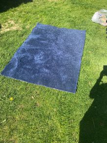 rug