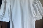 Zara Puff Sleeve Blouse