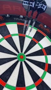 Chris dobey 95k darts 22g