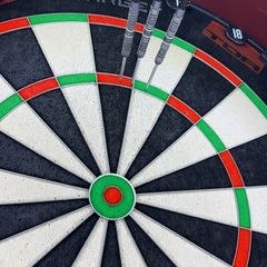 Chris dobey 95k darts 22g