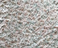 large rug