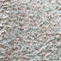 large rug