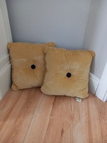Carolyn Donnelly Cushions