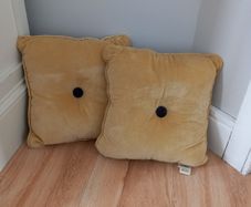 Carolyn Donnelly Cushions