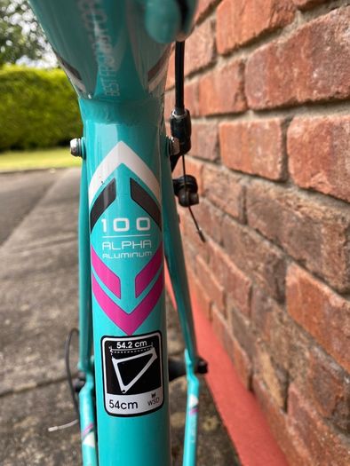 Ladies Trek Road Bike