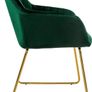 Set of 4 Velvet Dining Room with Back and Armrests Image 5