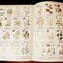 1986. The Garden Expert. Dr. D.G . Hessayon. Image 2