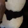 Jellycat Kutie Pops Panda Image 5