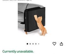 cat scratcher for the couch
