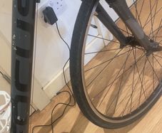 Focus magnum push bike