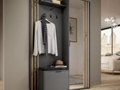 Modern Hallway Wardrobe