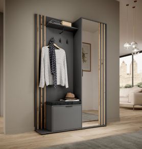 Modern Hallway Wardrobe