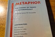 Beyond Metaphor. The Theory of Tropes in Anthropology.