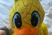 Cuddly Duck Teddy