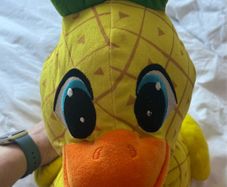 Cuddly Duck Teddy