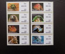 Ireland 2010.Set of stamps from coil Roll.55c x 8.Mint never hinged.MNH.
