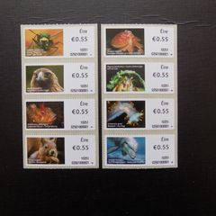 Ireland 2010.Set of stamps from coil Roll.55c x 8.Mint never hinged.MNH.