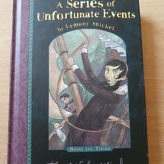 Lemony Snicket series-No.3-The wide window