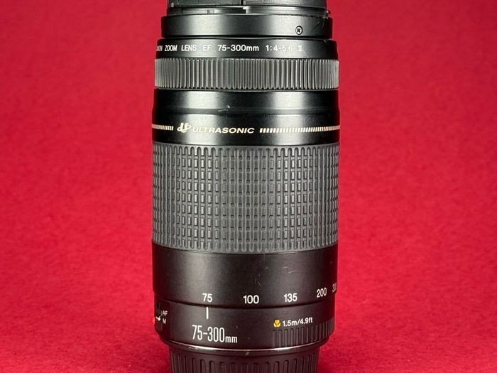 Canon EF 75-300mm f/4-5.6 II USM zoom telephoto
