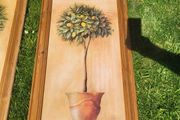 80x40c framed plant pictures