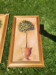 80x40c framed plant pictures