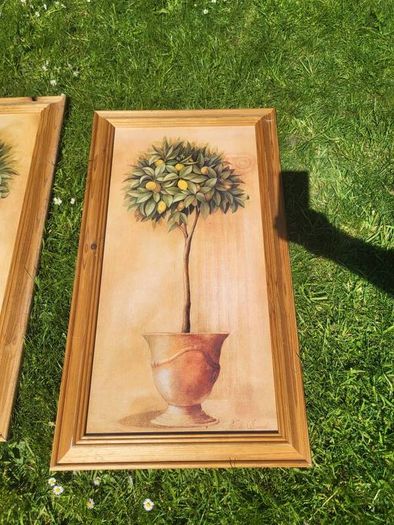 80x40c framed plant pictures