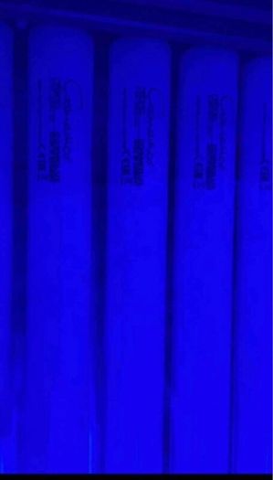 Sunbed