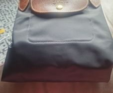 longchamp bag