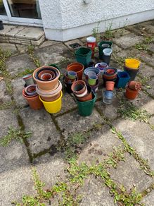 Plant pots