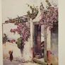 The Flowers and Gardens of Maderia. Image 2