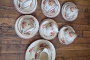 Staffordshire 21 piece