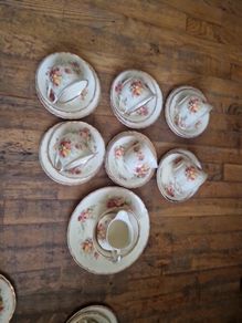Staffordshire 21 piece