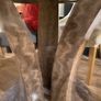 marble round dining table. And chairs Image 9