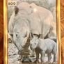 Framed animal prints (Dublin Zoo) Image 4