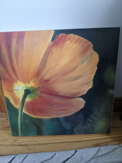 Wall canvas