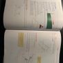 Test and Texts 2 higher level Image 3