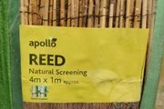 Bamboo Screen