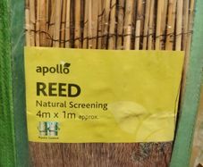 Bamboo Screen