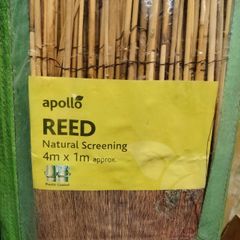 Bamboo Screen
