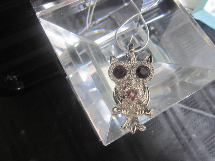 Cute Owl Pendant and Chain