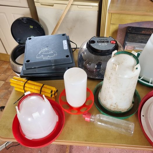 Hen, chicken -  feeders , heat plates etc