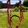 Assorted Horse equipment Image 2