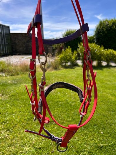 Assorted Horse equipment