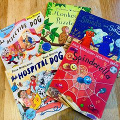 Julia Donaldson Book Bundle (5 Books) - Hardback Included - Kids Story Set