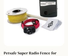petsafe dog fence