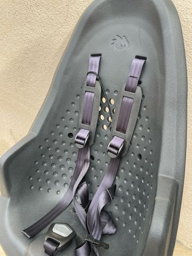 Thule Yepp 2 Maxi Rack-Mounted Child Seat