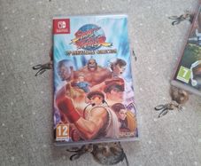 nintendo game