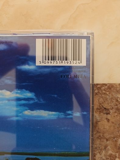 Bowie CD  - Earthling