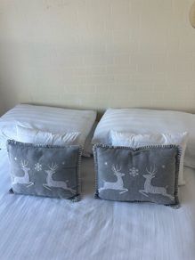 Cushions grey
