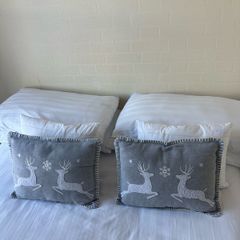 Cushions grey